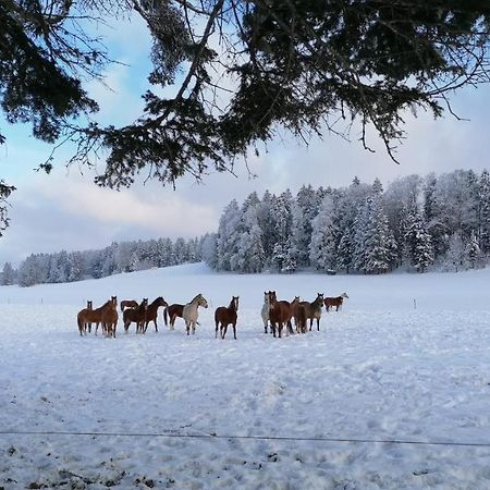 Gite Rural 1666 Saignelégier Zewnętrze zdjęcie