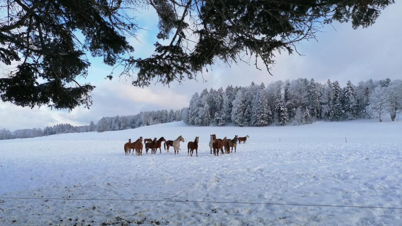 Gite Rural 1666 Saignelégier Zewnętrze zdjęcie
